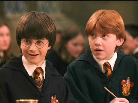 Harry Potter (Daniel Radcliffe) and Ron Weasley (Rupert Grint) Picture ...