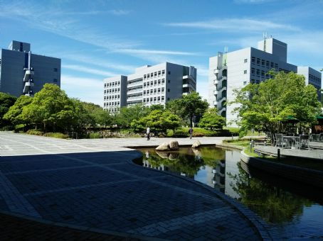 Nara Institute of Science and Technology