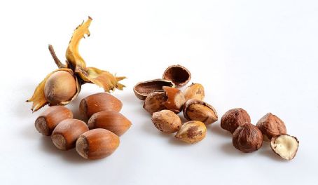 Hazelnut