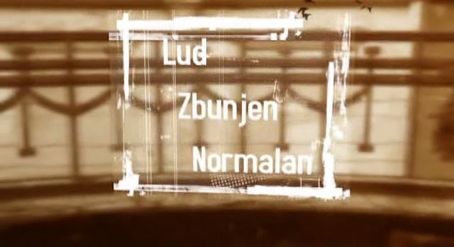 Lud, zbunjen, normalan