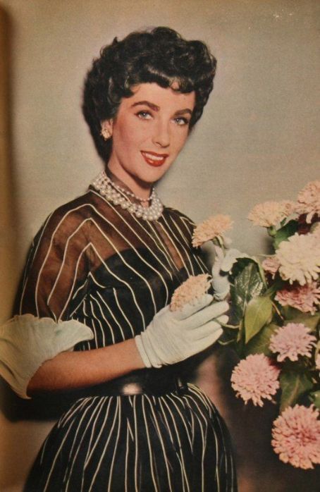 The Girl Who Had Everything - Elizabeth Taylor | Elizabeth Taylor ...