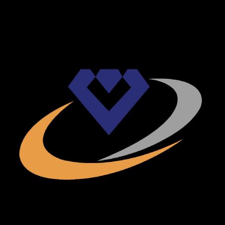 Vaibhav Global