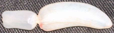 Isinglass