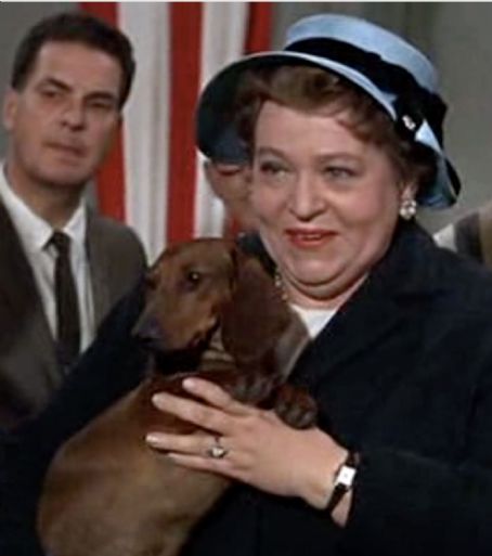 dorothy konrad dorothy konrad