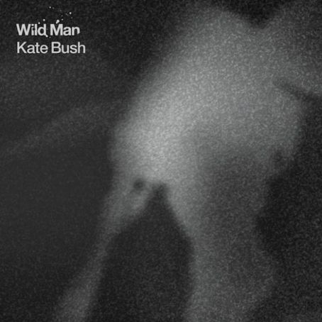 Wild Man - Kate Bush