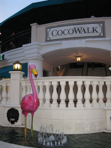 CocoWalk