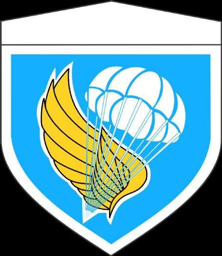1st Airborne Brigade (Japan)