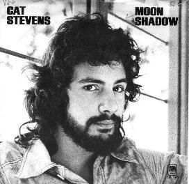 Moonshadow