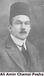 Ali Shamsi Pasha