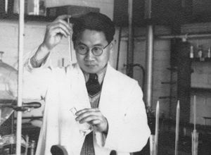 Wang Yinglai