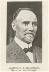 John Blackley (Australian politician)