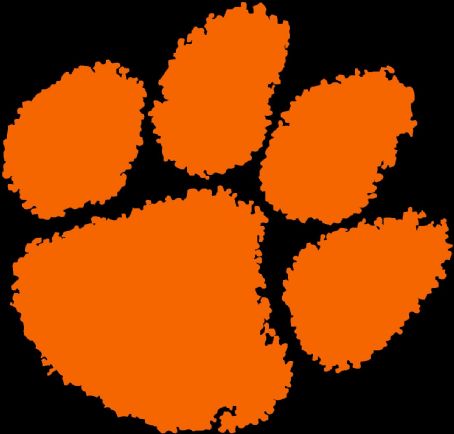 2013 Clemson Tigers football team