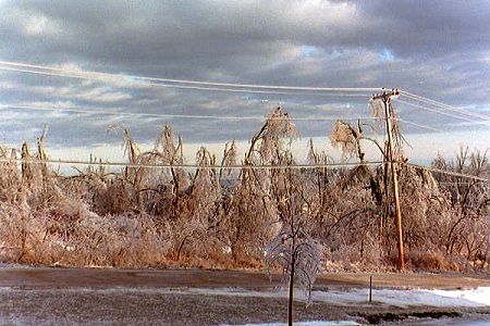 January 1998 North American ice storm
