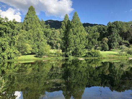 Reflection Riding Arboretum and Nature Center