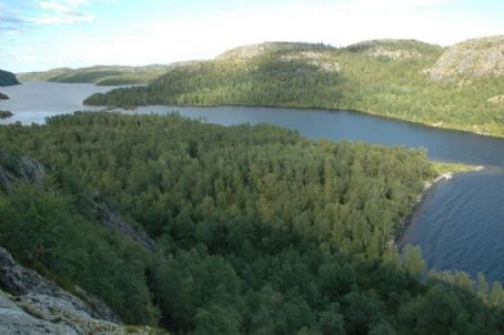 Paatsjoki