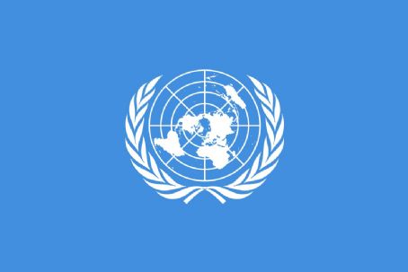 United Nations Security Council Resolution 2087