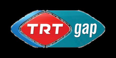 TRT GAP