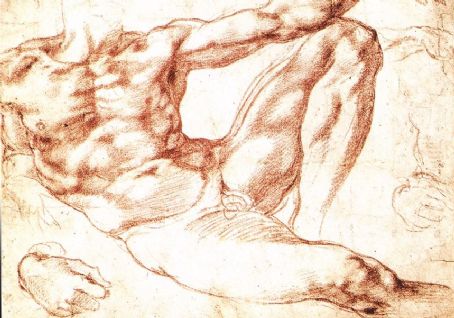 The Study of Adam