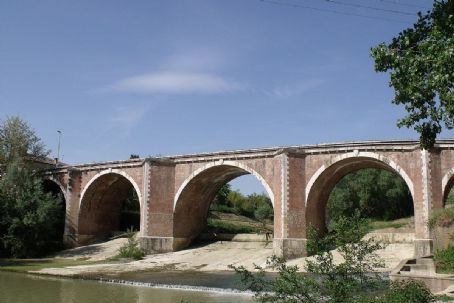 Arbia