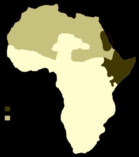 Cushitic languages