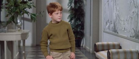 The Courtship Of Eddies Father 1963 Film - Ron Howard