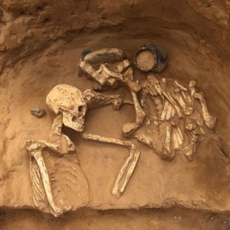 Archaeology