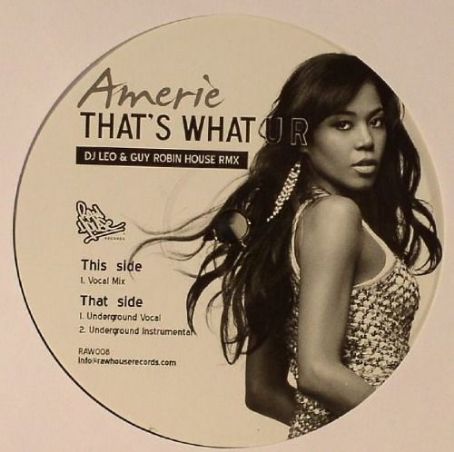 That's What U R (DJ Leo & Guy Robin House RMX) - Amerie