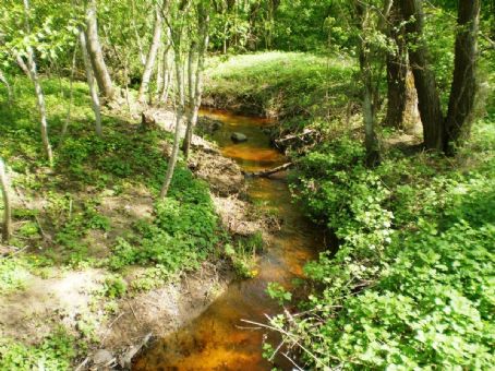 Brasta (Nevėžis)