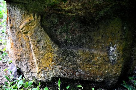 Marquesan Dog