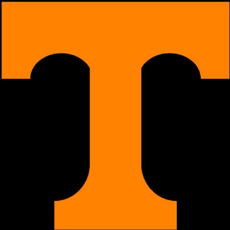 1987 Tennessee Volunteers football team