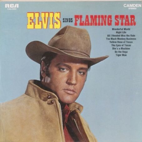 Elvis Sings 