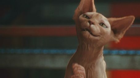 Cats Dogs The Revenge Of Kitty Galore 2010 Directed By Brad Peyton Reviews Film Cast Letterboxd
