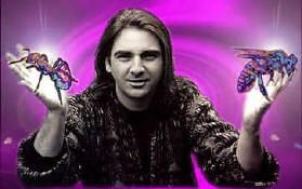 Ant-Bee