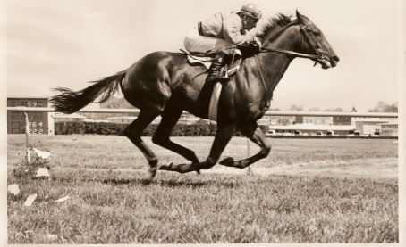 Chris Rogers (jockey)