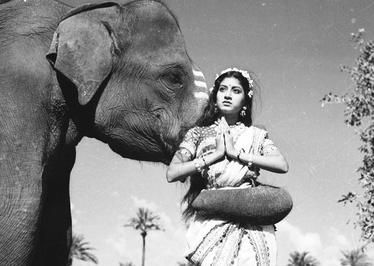Kumari Rukmini