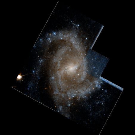 NGC 2835 (Topic) - FamousFix