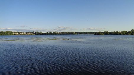 Ford Lake (Michigan)