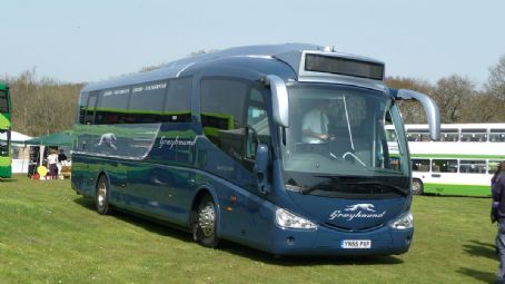 Greyhound UK
