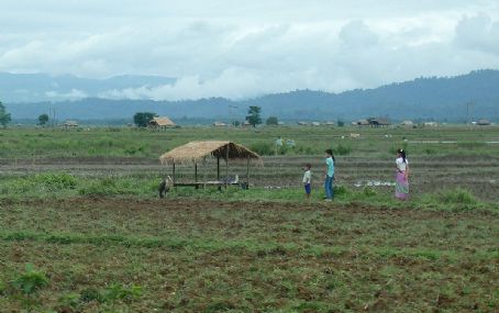 Mohnyin District