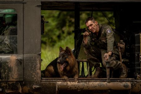 Ambush