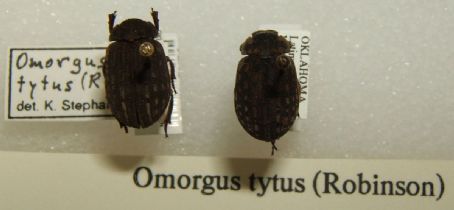 List of FamousFix List