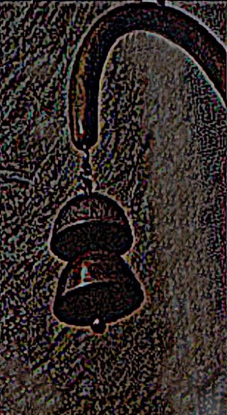 Zang (bell)