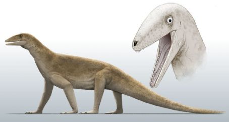 Puercosuchus
