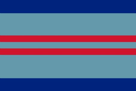 Air vice-marshal