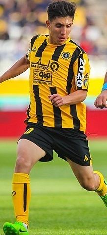 Hamed Bahiraei