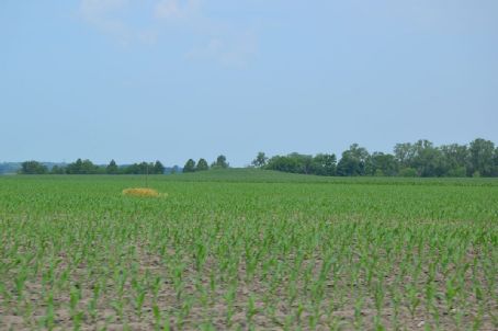 Lunsford-Pulcher Archeological Site