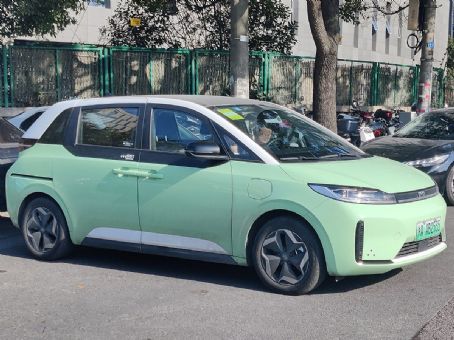 BYD D1