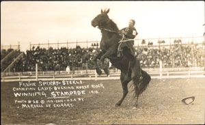 Fannie Sperry Steele