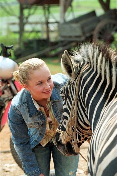 Hayden Panettiere as Channing Walsh in Racing Stripes | Hayden ...